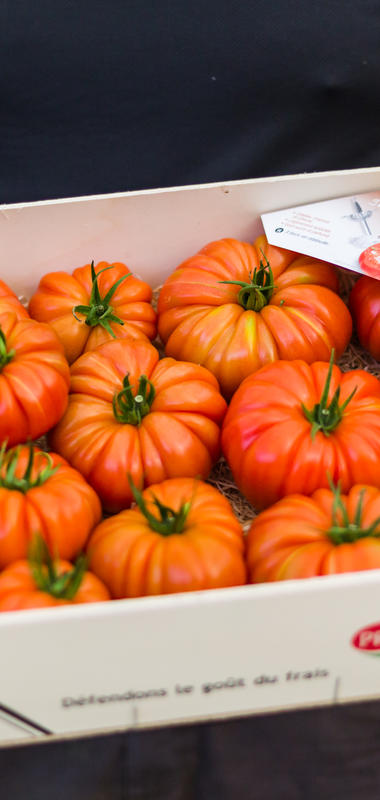 Tomato Rouge De Marmande Tray