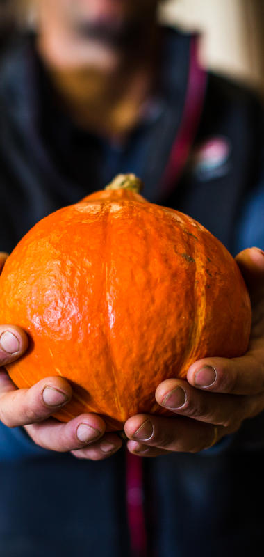 La courge butternut  Légumes maraîchers Prince de Bretagne