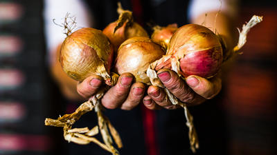 Comment cuisiner l'oignon ?