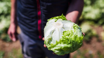 Wie verwendet man Eisbergsalat?