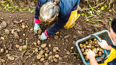 Interview with a market gardener