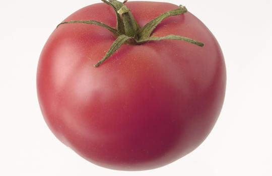 rosa Tomate