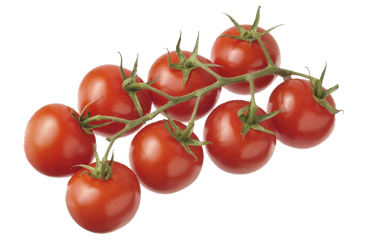 La tomate ronde bretonne  Fruits Prince de Bretagne