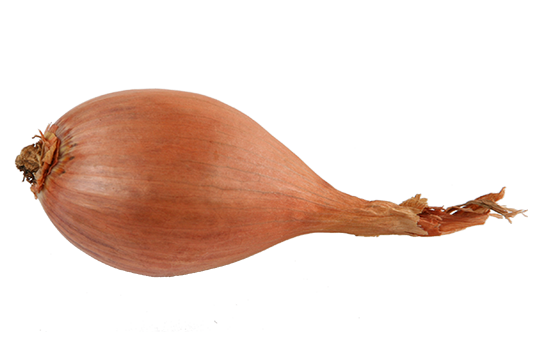 Bunch of shallots 27928331 PNG