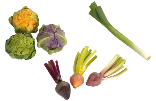 Mini Légumes Légumes Prince De Bretagne